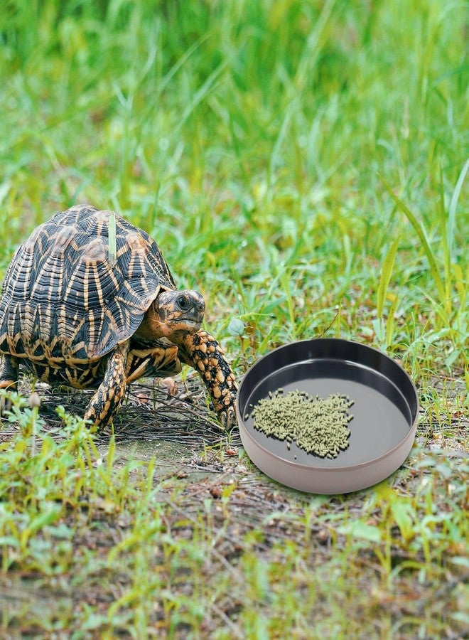 Neeenn Reptile Feeder Kit, Food Water Bowl, Plastic Round Tortoise Feeding Dish, Amphibian Feeding Bowl, Tank Terrarium Accessories for Bearded Dragon Snake Hermit Crab Turtle Lizard Chameleon - 8 × 8 × 1" - Image 5